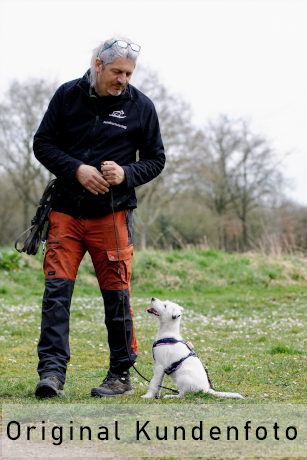 Junghund beim Training mit Frank