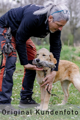 Hund mit Apportel im Maul übt ruhiges Halten.
