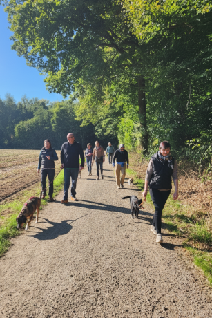 Menschen mit Hunden gemeinsam unterwegs